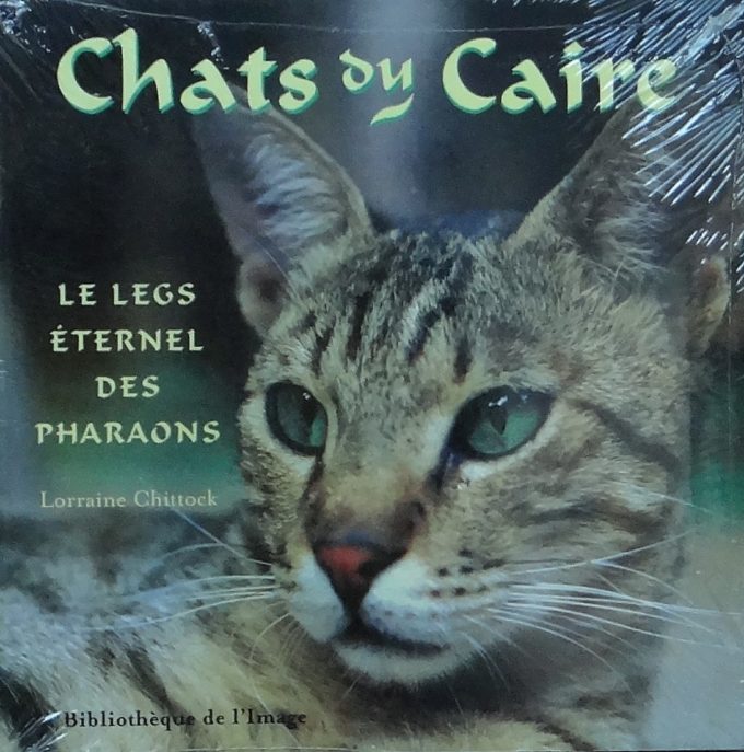 Chats Du Caire - Legs Éternel Des Pharaons (Livre)