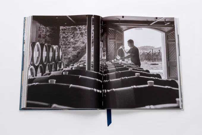 The impossible collection of wines by Enrico Bernardo (Book) - Image 2