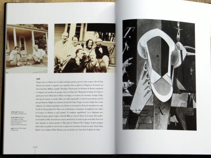 Yves Tanguy, monographie (livre) - Image 2