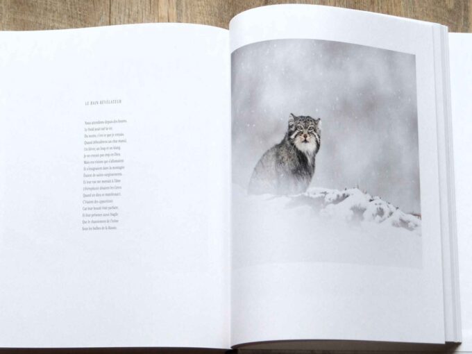 Tibet Mineral Animal, Sylvain Tesson, Vincent Munier (book) - Image 4