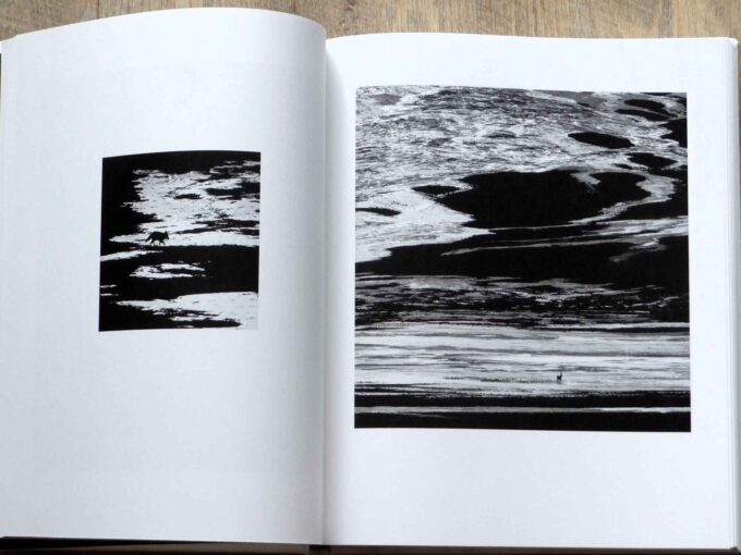 Tibet Mineral Animal, Sylvain Tesson, Vincent Munier (book) - Image 3