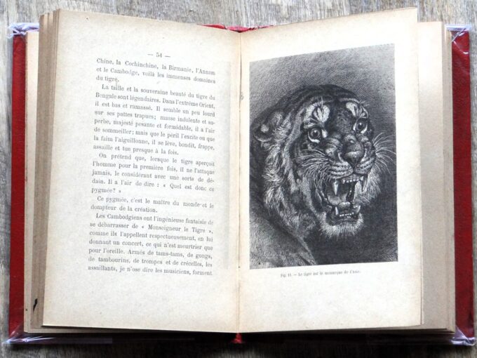 Le monde des fauves, Fulbert Dumonteil, 1891, Edition originale (book) - Image 3