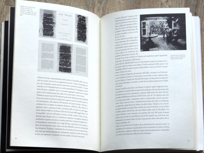 Joan Mitchell, la peinture des deux mondes, la pittura dei due mondi (livre) – Image 3