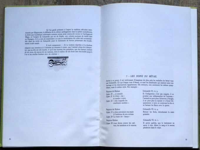 Ars Veterinaria, l'art vétérinaire de l'antiquité à la fin du XIXème siècle, essai historique (book) - Image 2