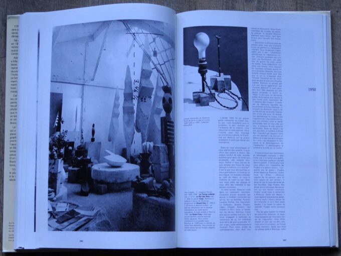 Brancusi et l'idée de sculpture (book) - Image 5