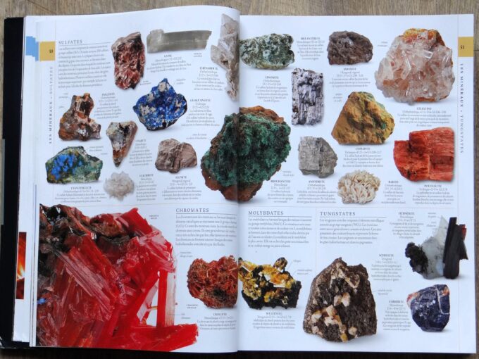 Histoire naturelle, panorama complet de la diversité terrestre (book) - Image 3