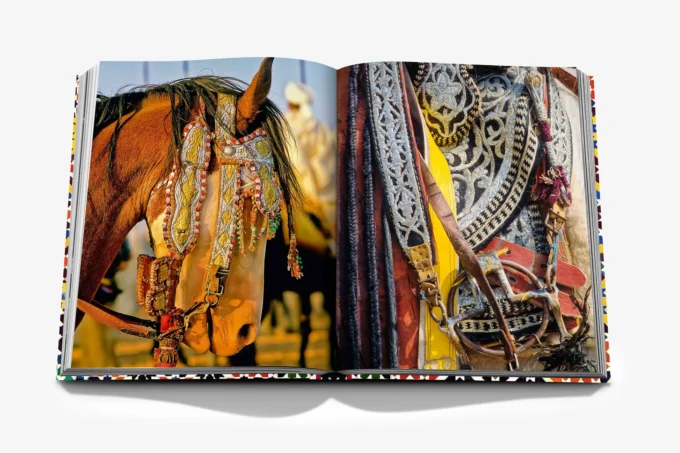 Moroccan Decorative Arts, Philippe Saharoff (livre) – Image 6