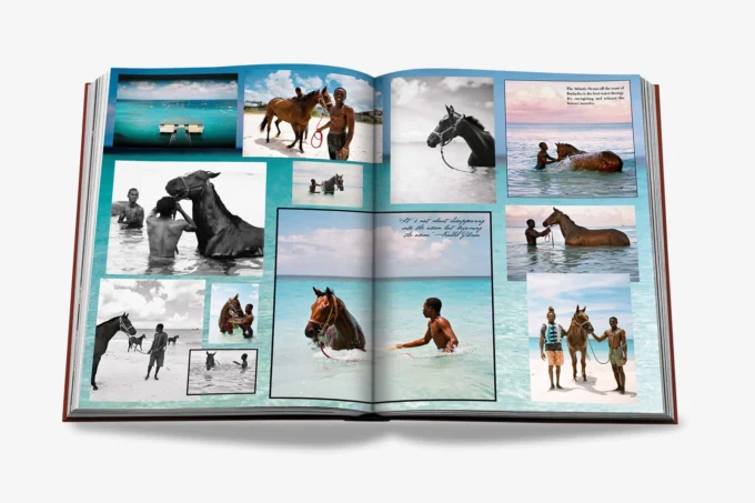Polo heritage par Nacho Figueras et Aline Coquelle (livre) – Image 5