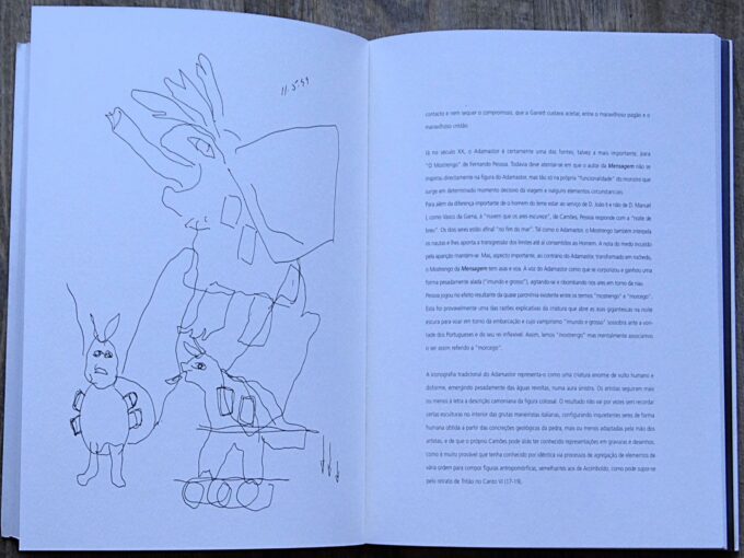 Adamastor, Nomen Gigantis, about a popular sculpture by José de Guimarães (book) - Image 4