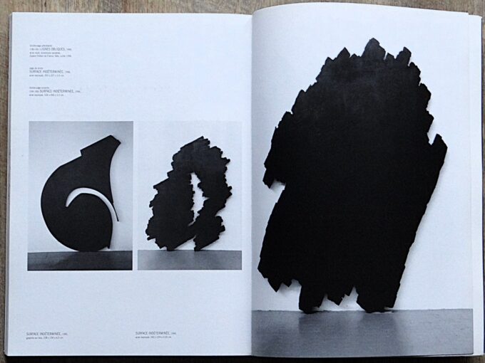 Bernar Venet 6196, l'equation majeure (livre) – Image 6