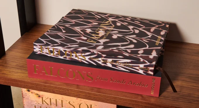 Falcons from Saudi Arabia (book) - Image 8