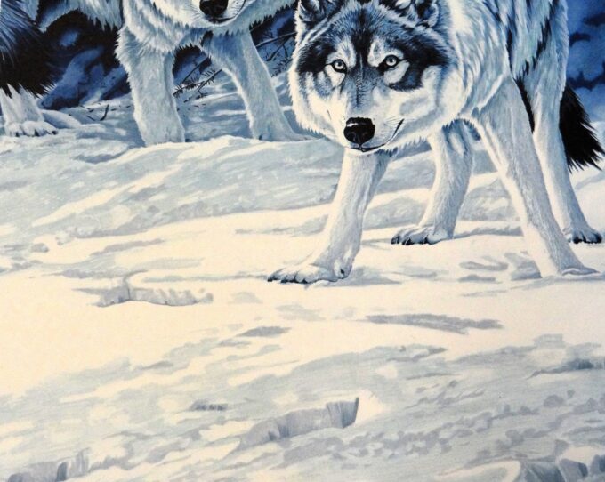 Gisèle Benoit, original signed lithograph, blue wolves, blue monochrome, wild animals, wildlife and instincts, totem animal, - Image 3