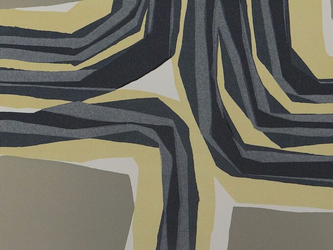 Raoul Ubac, abstract lithograph, trompe-l'oeil, shapes and colors, twists, plowing and furrows, Franco-Belgian artist, abstract art, - Image 2