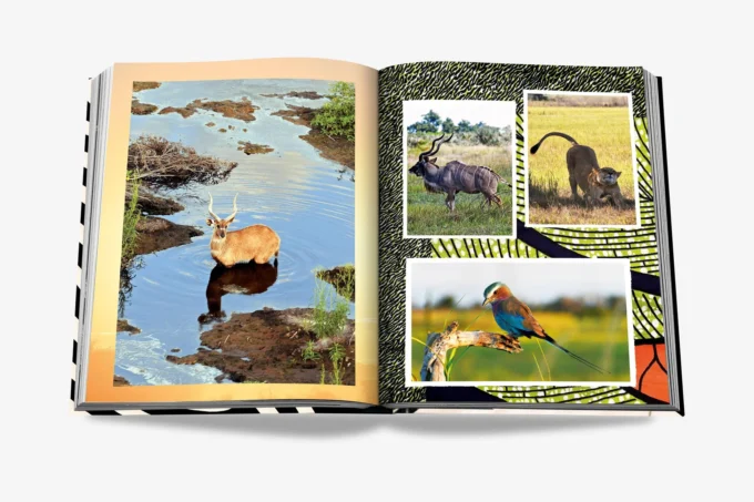 African adventures, The greatest safari on earth, The Classics Collection (book) - Image 4