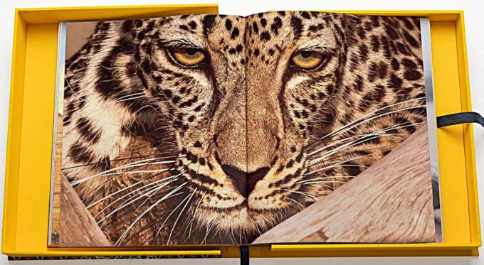 Arabian Leopard, The Ultimate Collection (livre) – Image 4