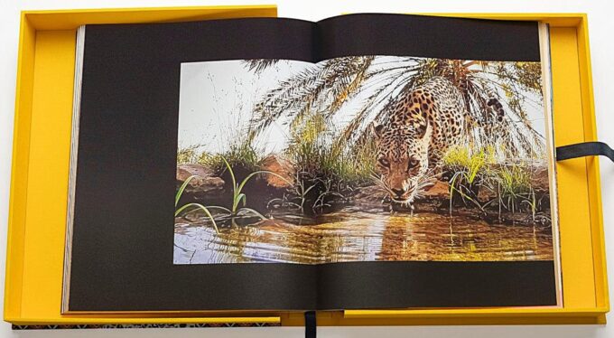 Arabian Leopard, The Ultimate Collection (livre) – Image 5