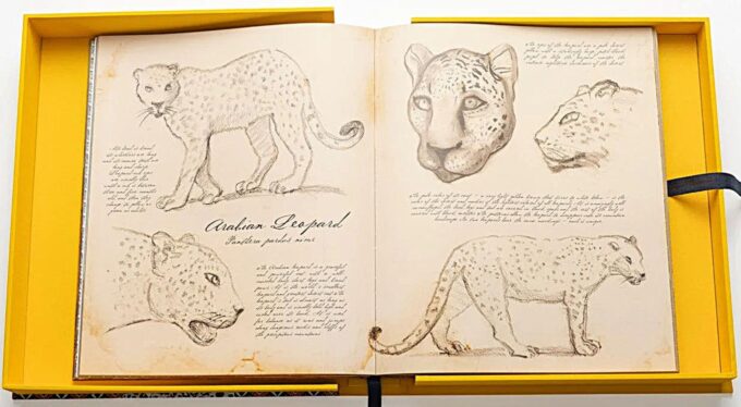 Arabian Leopard, The Ultimate Collection (livre) – Image 6