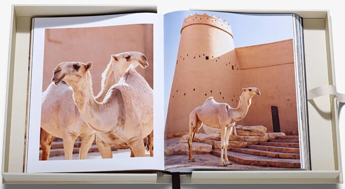 Grace in the Desert, The Beauty of Saudi Arabia's Camels (book) - Image 5