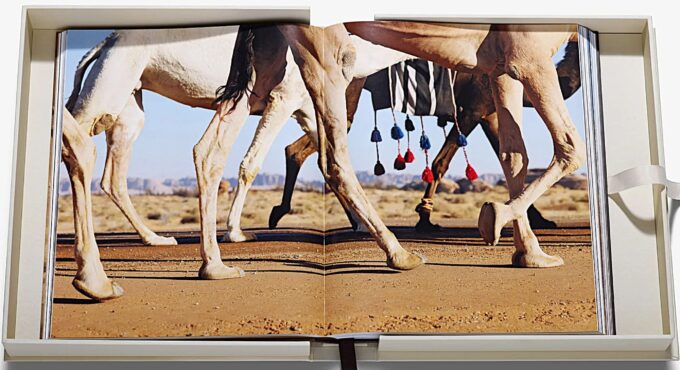 Grace in the Desert, The Beauty of Saudi Arabia's Camels (book) - Image 6