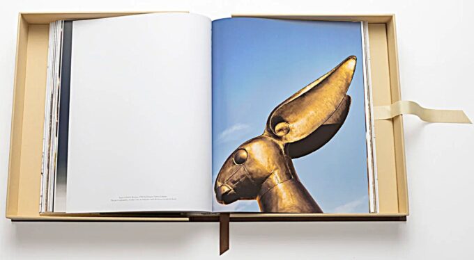 photo of a rabbit head sculpture